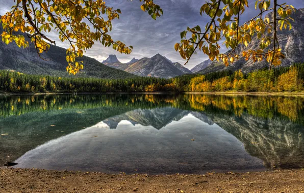 Picture forest, leaves, mountains, branches, lake, reflection, Canada