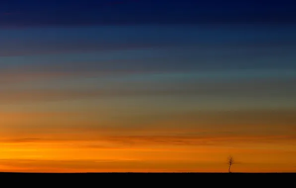 The sky, landscape, sunset