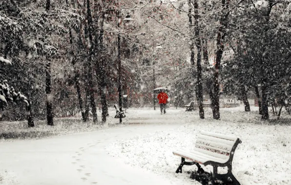 Picture winter, snow, the city, bench