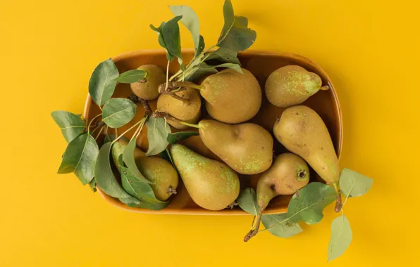 Tray, pear, yellow background