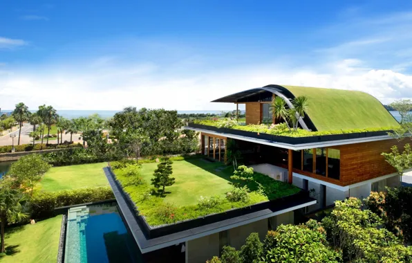 House, Grass, Green, Landscape, Pool