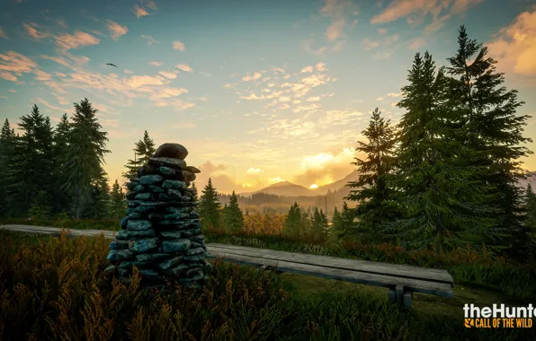 Stones, Nature, The game, Forest, theHunter Call of the Wild™