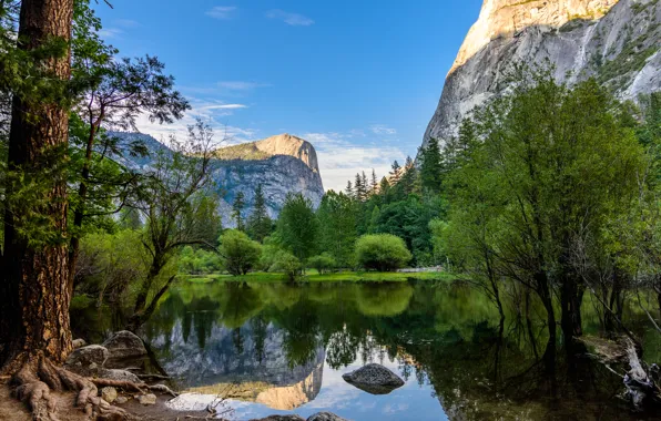 Picture trees, mountains, lake, reflection, CA, Yosemite, California, Yosemite national Park