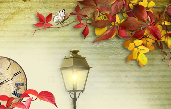 Picture autumn, leaves, light, collage, watch, lantern