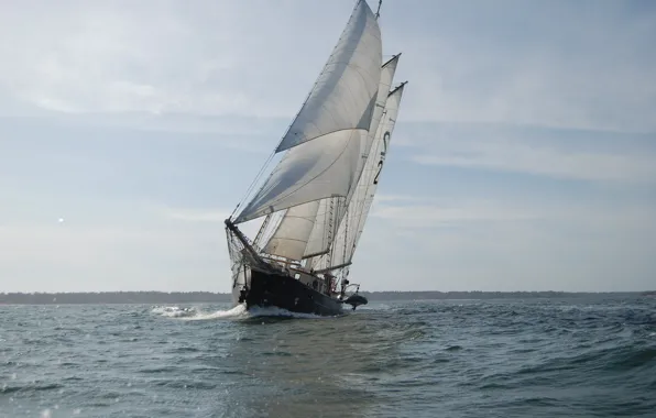 Sea, the way, movement, the wind, coast, ship, sailboat, sails