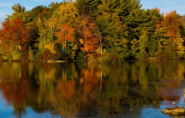 Picture autumn, forest, the sky, water, trees, lake, river