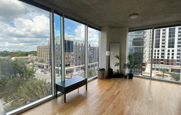 Room, plant, lamp, interior, mirror, Orlando, Orlando, Florida