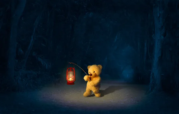 Road, forest, night, bear, lantern, bear, Teddy bear