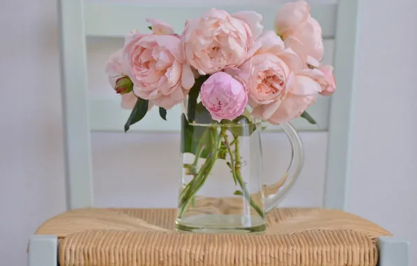 Picture roses, bouquet, pitcher