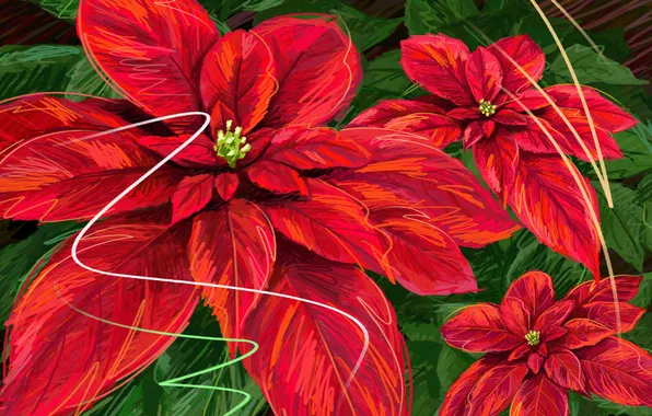 Picture leaves, flowers, red, green, poinsettia