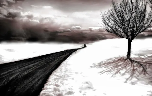 Picture road, snow, tree