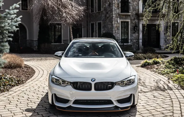 Picture BMW, Front, F83, White Divel