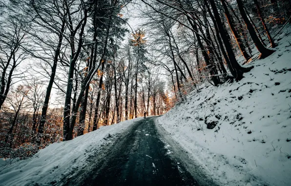 Picture road, snow, trees