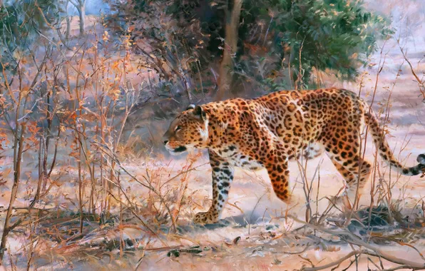 Leopard, Picture, Predator, Donald Grant, Big cat, British animal artist, Donald Grant