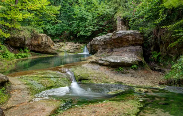 Forest, stream, stones, rocks, cascade