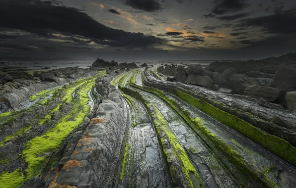 Sea, rocks, shore