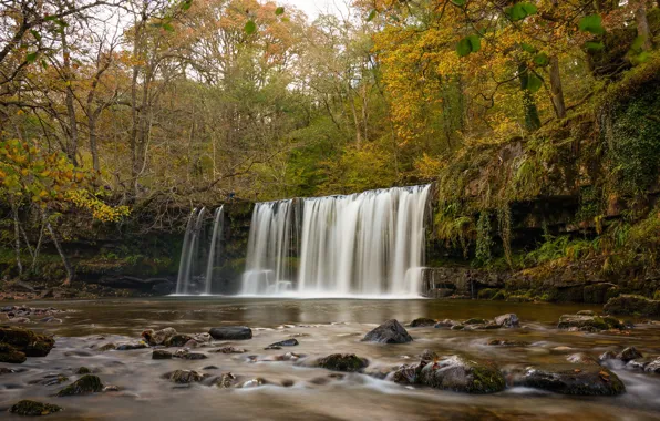 Autumn, forest, trees, river, England, waterfall, England, Wales