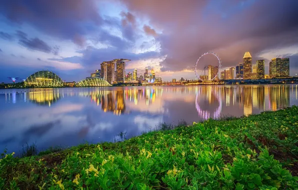 Picture the sky, clouds, lights, Park, building, home, the evening, Bay