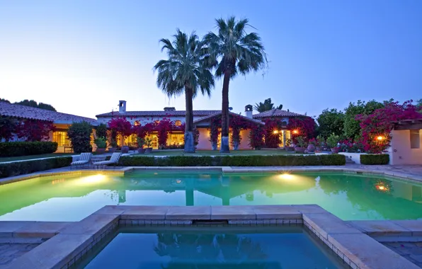 Palm trees, the evening, pool, ranch, Rancho Mirage