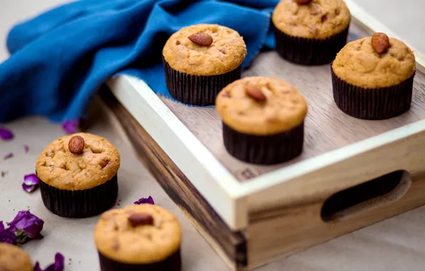 Cake, nuts, cakes, tray, cupcakes