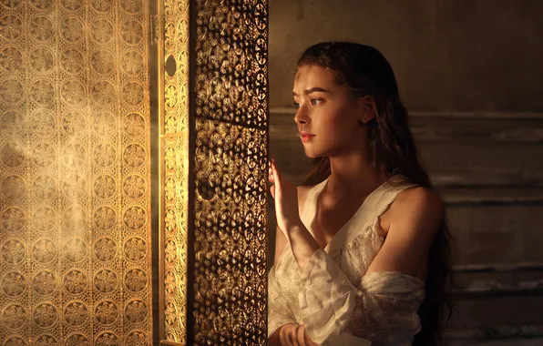 Look, girl, light, the door, ornament, white dress, Albina Khusainova