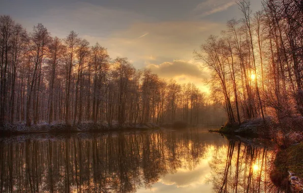 Frost, forest, trees, river, morning, gold