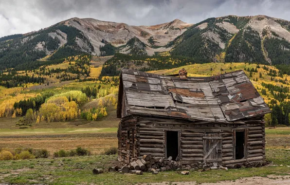 Field, autumn, forest, mountains, house, the slopes, hut, door