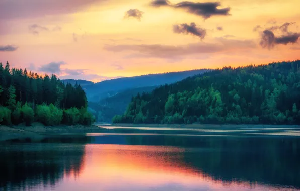 Forest, sunset, shore, the evening, pond