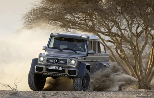 Picture Mercedes-Benz, SUV, AMG, G 63