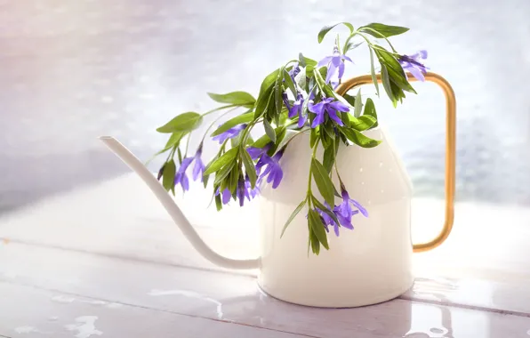 Drops, light, flowers, table, bouquet, lake, still life, lilac