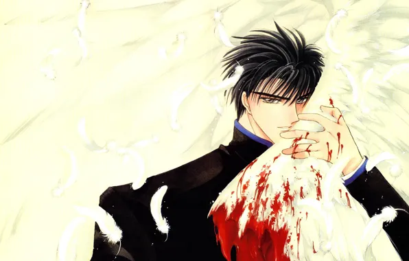 Blood, wing, guy
