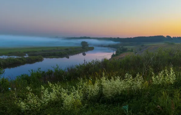 Summer, landscape, nature, fog, river, morning, meadows