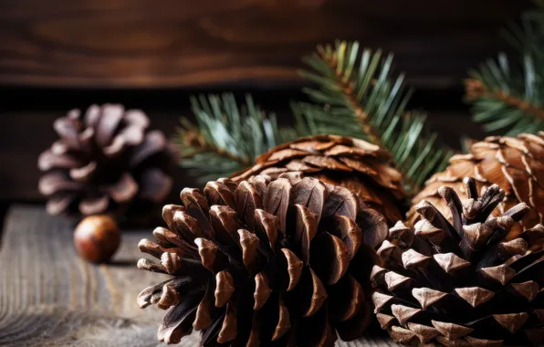 Macro, branches, the dark background, tree, Board, Christmas, New year, needles