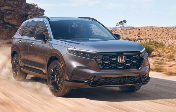 Picture road, speed, dust, Honda, Honda, CR-V, 2022