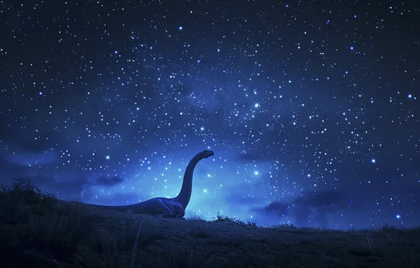 Night, Grass, Stars, Dinosaur, Animal, Digital art, Ancient animals, Extinct animals