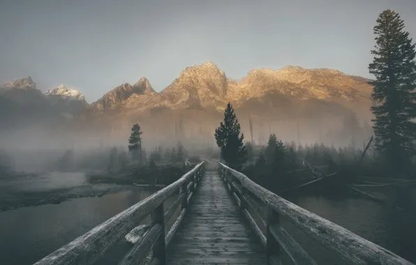 The sky, trees, mountains, bridge, fog, river, ate, pine