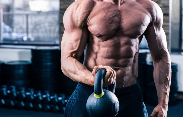 Muscle, muscle, press, weight, training, athlete, workout, workout