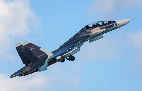 Picture the sky, fighter, multipurpose, double, Su-30CM