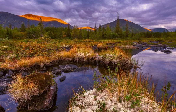 Water, mountains, clouds, dry grass