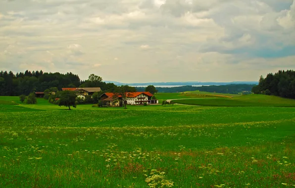 Picture road, greens, grass, trees, river, field, home, Germany