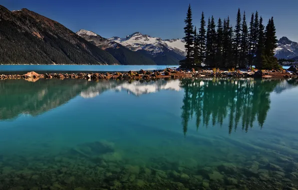 Forest, water, trees, landscape, mountains, nature, lake, reflection