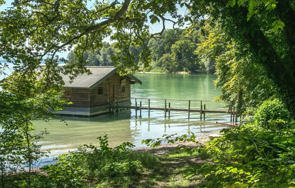 Forest, trees, river, shore, Germany, Bayern, house, the bushes