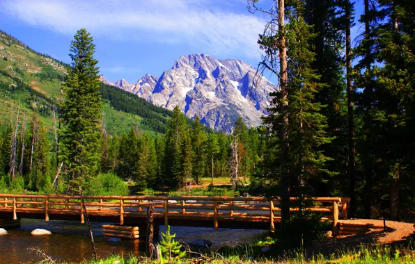 Autumn, the sky, trees, mountains, bridge, river, Wyoming, USA