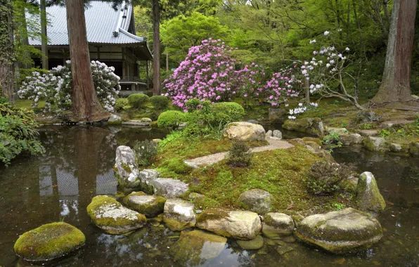 Picture trees, flowers, nature, pond, stones, Japan, garden, temple