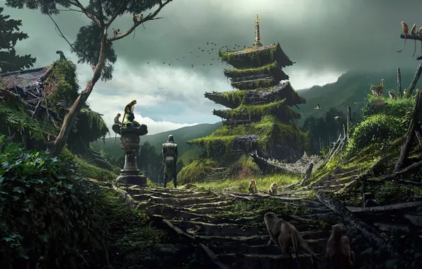 Forest, the game, Japan, art, ruins, samurai, the creed of the assassins, game art