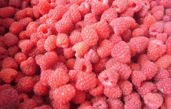 Summer, berries, raspberry