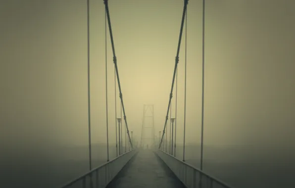 Picture road, bridge, fog