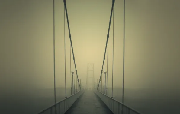 Road, bridge, fog