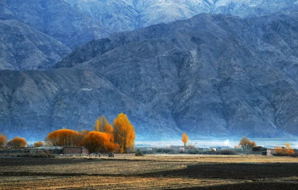 Autumn, trees, mountains, Pamir