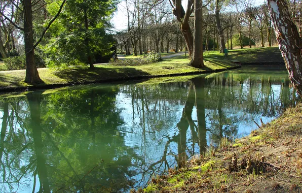 Water, park, lake, pond